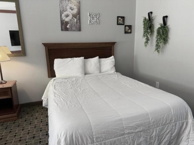 Qualla Cabins And Motel Cherokee Near Casino Whittier Екстер'єр фото