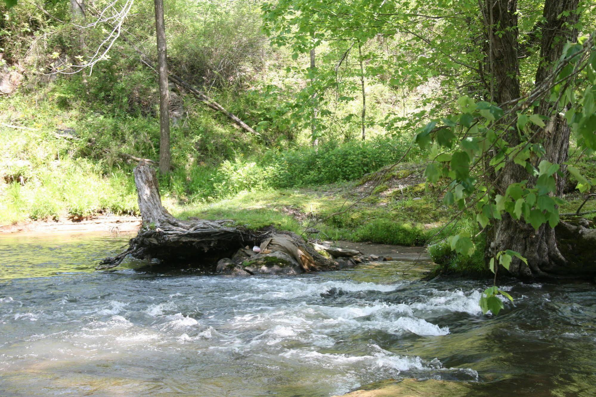 Qualla Cabins And Motel Cherokee Near Casino Whittier Екстер'єр фото